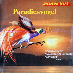 后进极品白嫩翘臀在线视频
